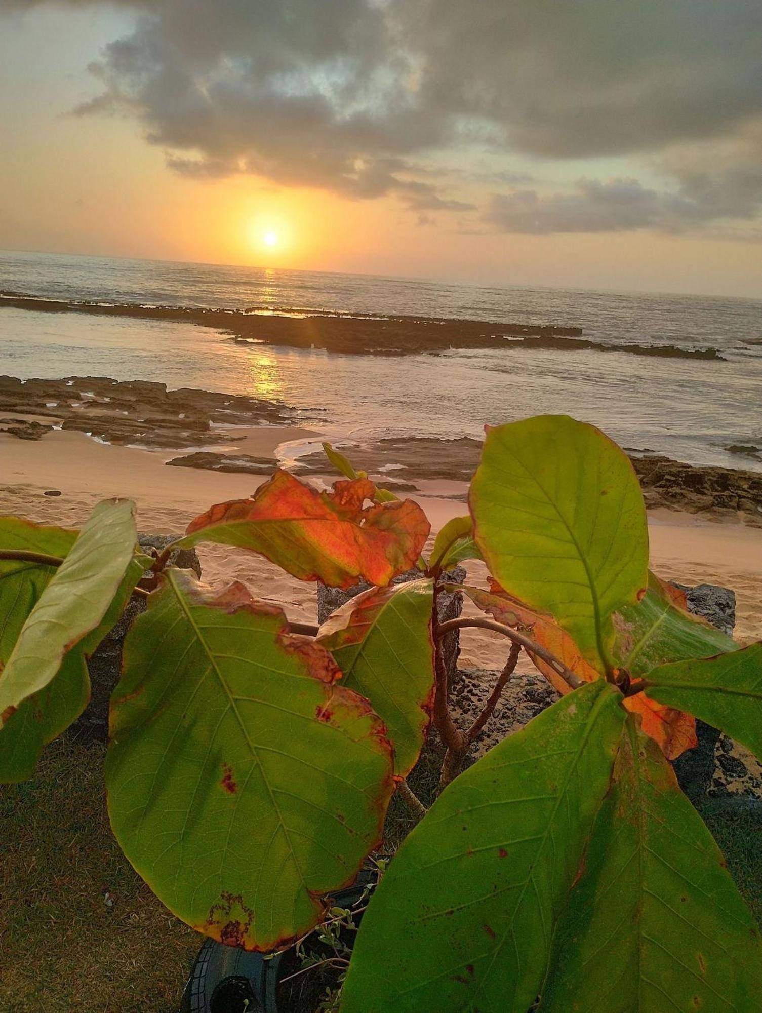 Pousada Tropicalia Tranquilidade A Beira Mar Santa Cruz Cabrália Exterior foto